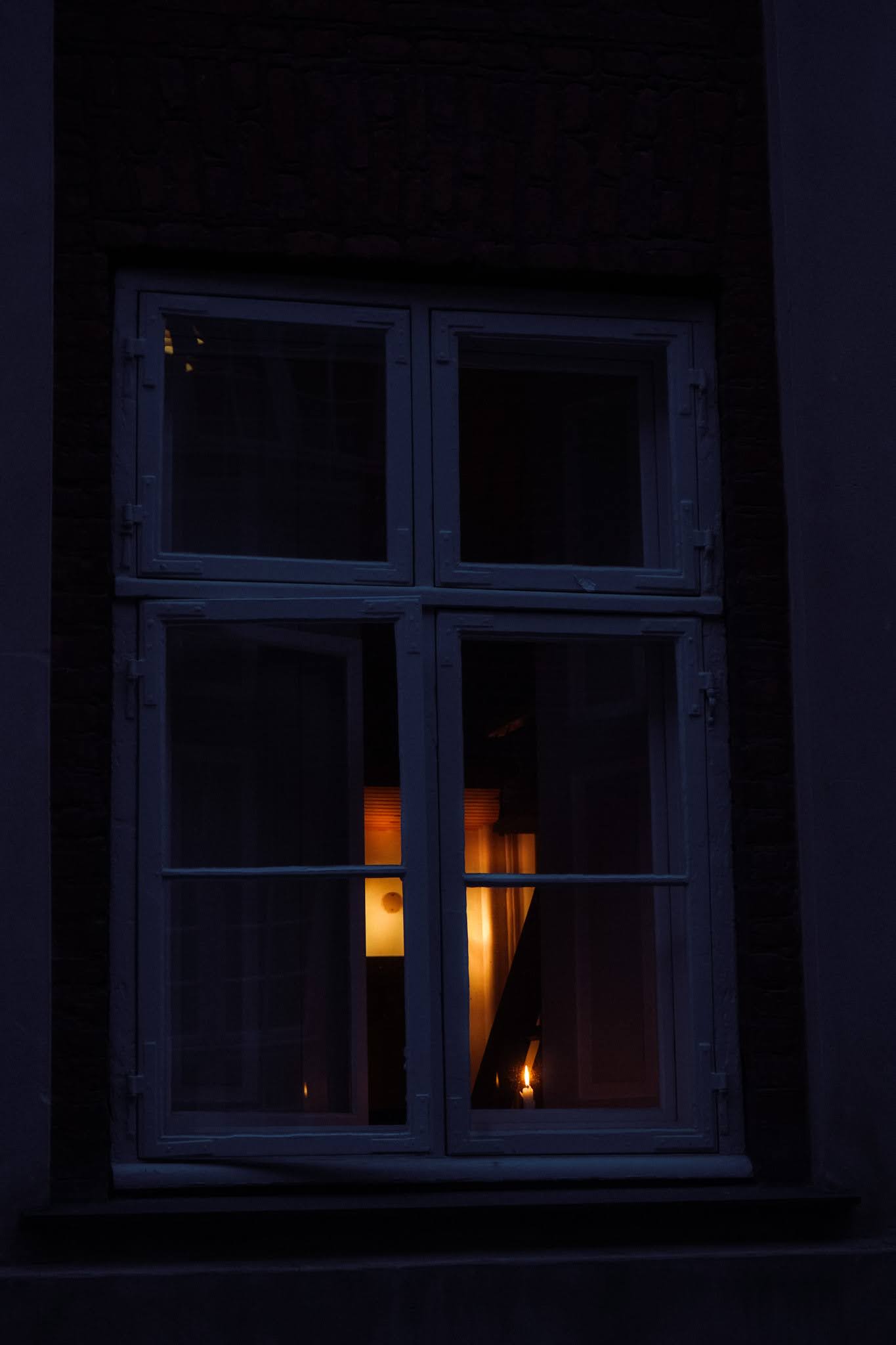 What Lives Inside